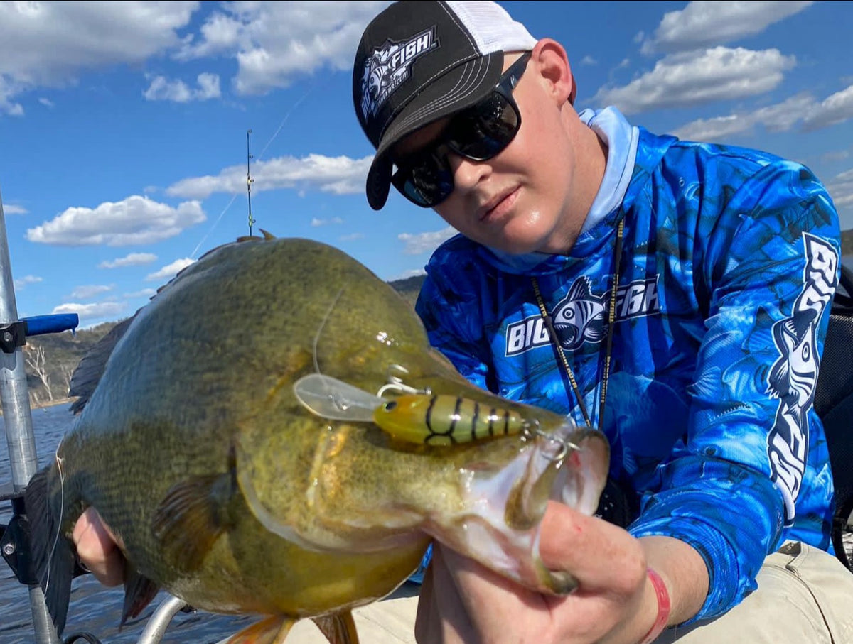 Angler holding a golden perch in the Aus Camo Dark Blue fishing shirt