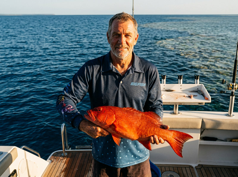 Insight - Coral Trout